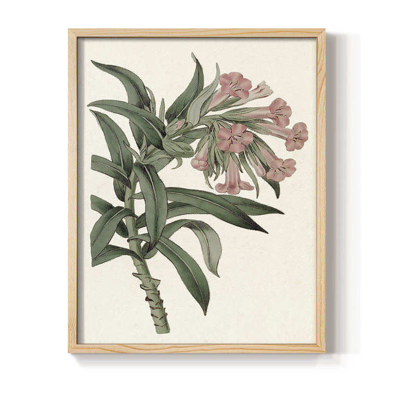 «Pink Floral Mix VI», reproduction encadrée - bois massif, Naturel, H 15 po x l 12 po