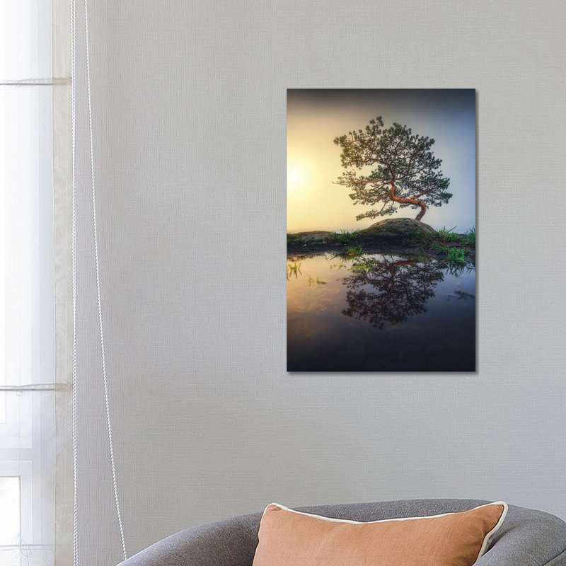 Bonsai by Lauri Lohi - Wrapped Canvas Print, 66.04 cm H x 45.72 cm W x 1.91 cm D