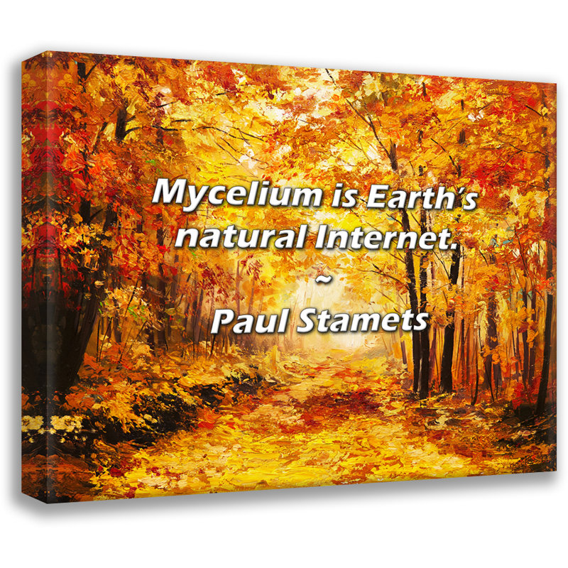 Citation artistique «Le mycélium, c'est Internet naturel de la Terre». Toile tendue par Paul Stamets