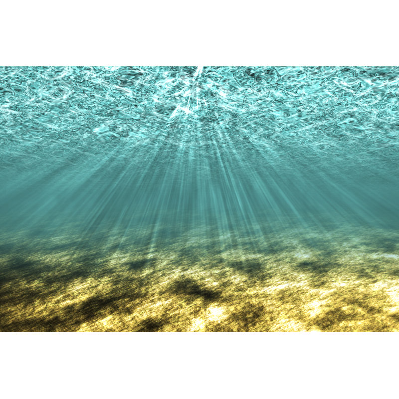 The Underwater - Photographie sur toile tendue, H 8 po x l 12 po