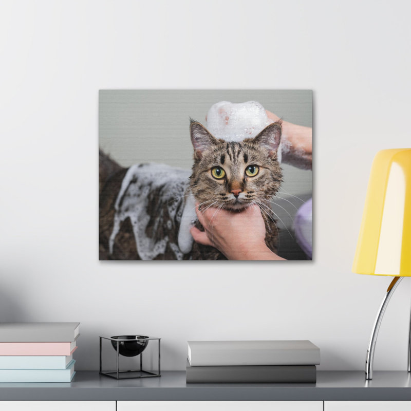 No Frame Print on Canvas, 60.96cm H x 76.2cm W