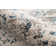 Frampton Cotterell Oriental Indoor Rug