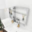 Miroir pour armoire à pharmacie Landseer-38075760-38075761