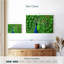 Plume de paon vert Bramtr Chartreuse