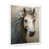 White Single Picture Framed