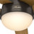 46" Anslee 5 - Blade LED Flush Mount Ceiling Fan with Pull Chain and Light Kit Included-17799248