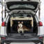 Espace de couchage portatif pour chien - Cage de voyage pliable, en tissu, silencieuse et confortable-159628680
