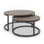 MONROE SILVER GREY COFFEE TABLE NEST