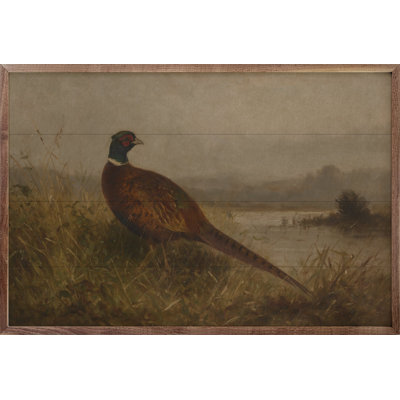 Vintage Ring Necked Pheasant By The Water