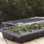 Boule Plastic Nursery Seed Tray Propagator (Set of Three)