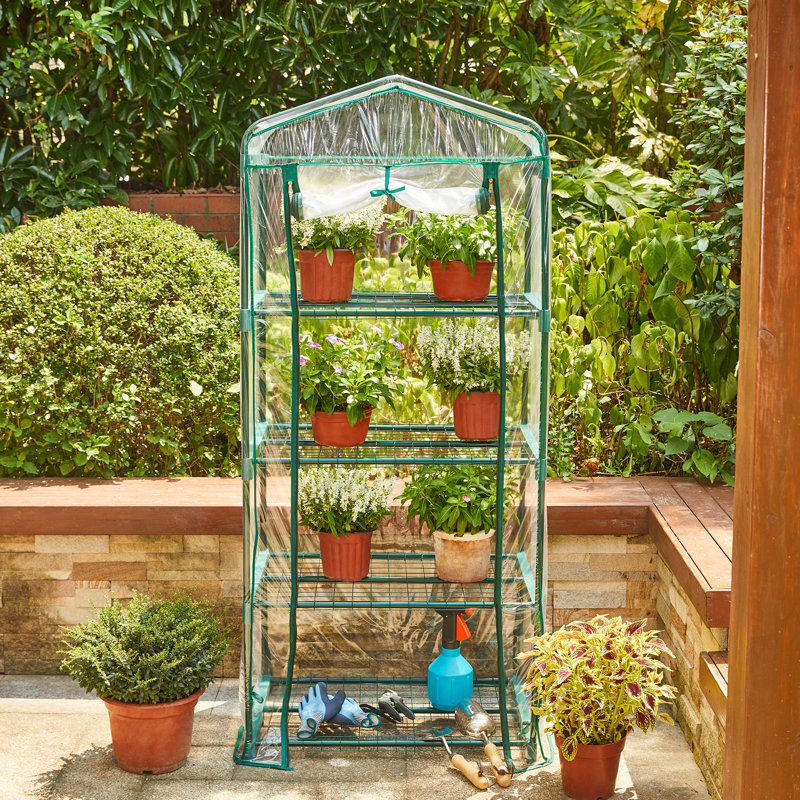 Serre de jardin à 61 niveaux avec cadre en acier et couverture en PVC