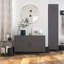 2-door metal locker accent cabinet-239347309