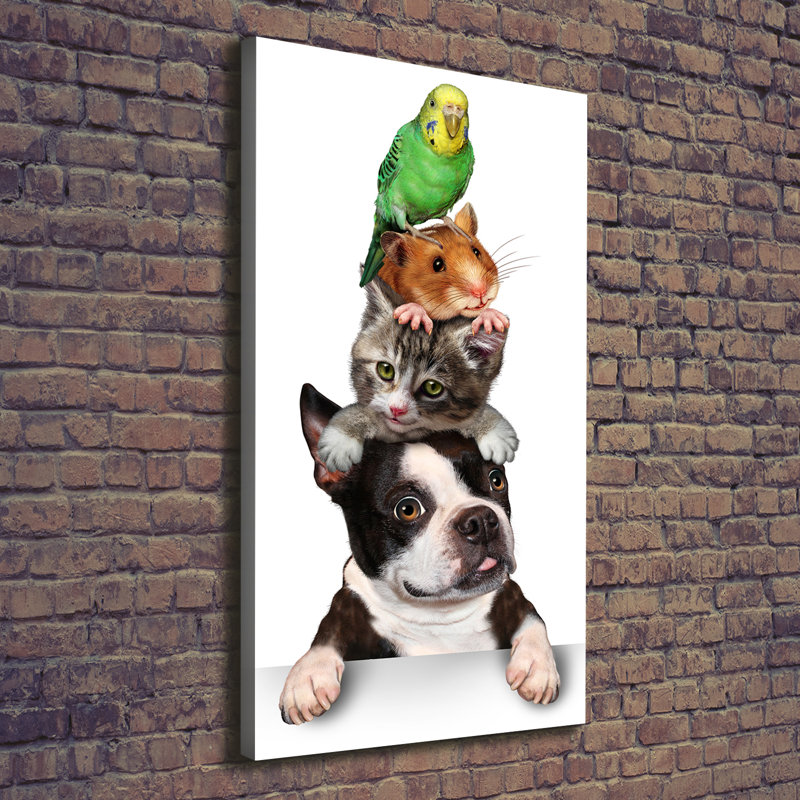Pets - Wrapped Canvas Print