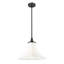 Luminaire suspendu 1 lumière noir mat Ohlson-1679577428