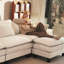 Canapé modulaire en forme de U de 154 po Brazell, canapé en nuage avec trois repose-pieds et coussins amovibles-879597469