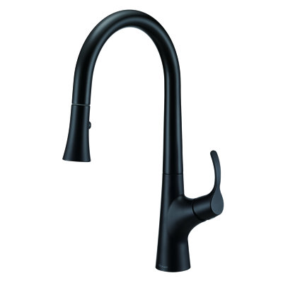 Antioch Pull Down Single Handle Kitchen Faucet