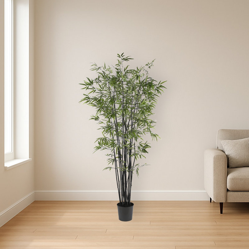 Bamboo Tree with Leaves