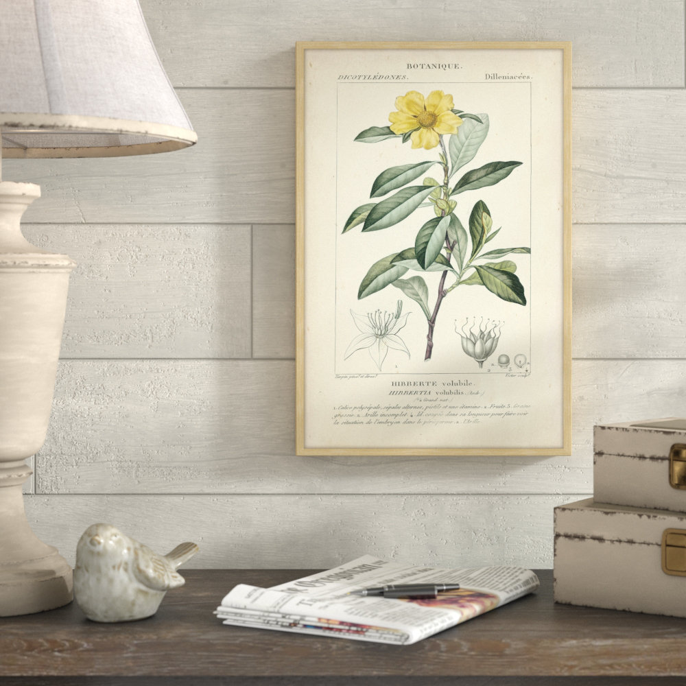 Botanique Study in Yellow I - Picture Frame Graphic Art Print on Paper