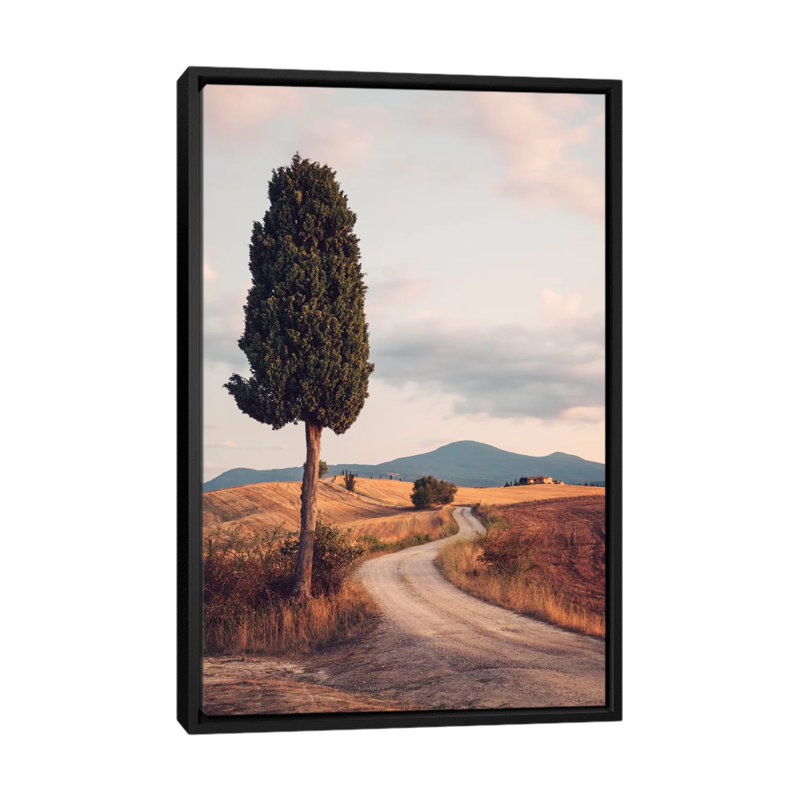 «Route de campagne avec cyprès, Toscane, Italie», reproduction de photo sur toile tendue, H 26 po x l 18 po x P 1,5 po