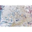 Abstract Area Rug-69961942
