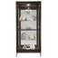 Sheena Lighted Curio Cabinet-73916024