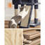 Cat Tree For Indoor Cats-1867777368