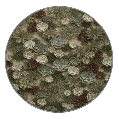 Machine Washable Botanical Brown Area Rug