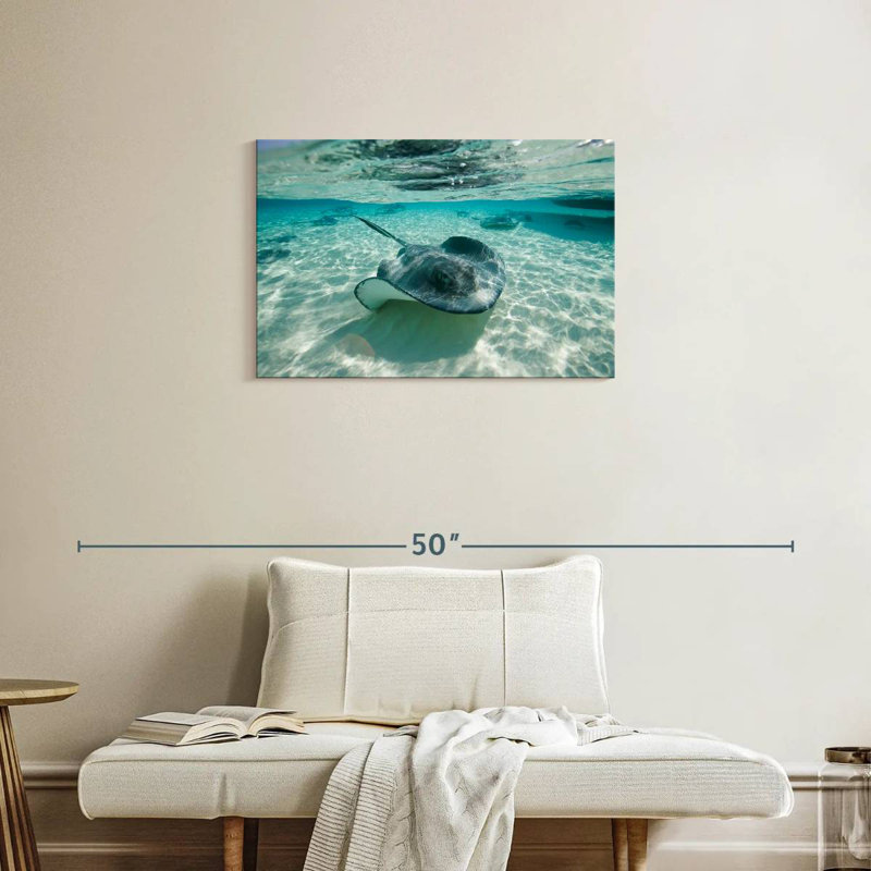 Rempart sous l'eau Brampt, H 20 po x l 30 po