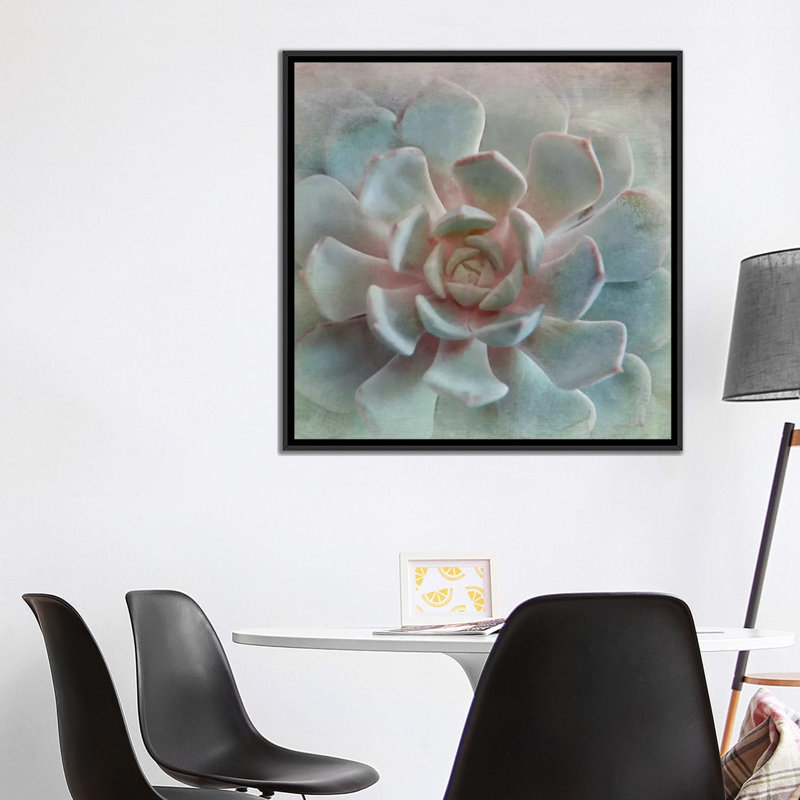 « pastel succulent ii », impression sur toile, H 18 po x l 18 po x P 1,5 po, Toile avec cadre noir, Pas de tapis