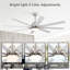 52-Inch Smart Ceiling Fan With Lights-121082821-121082815