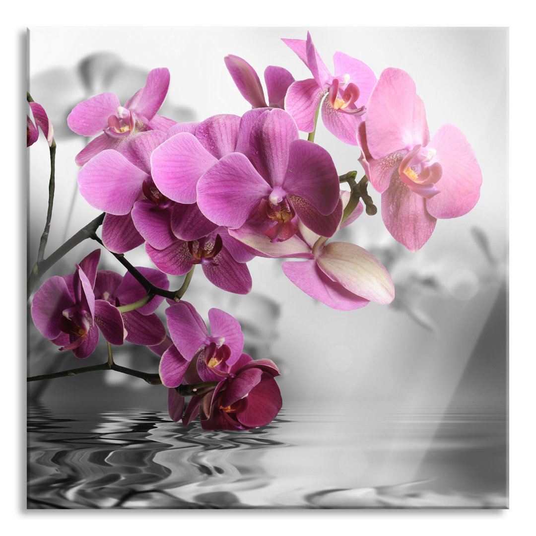 Glasbild Orchid Blossoms