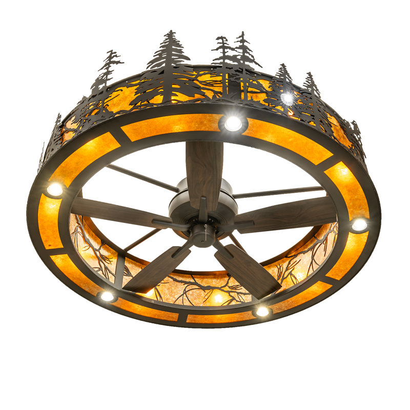 Ceiling Fan