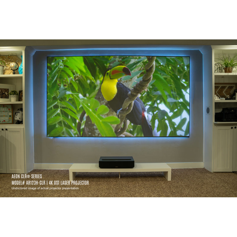Aeon CLR Series 123" Diagonal Fixed Frame Projector Screen