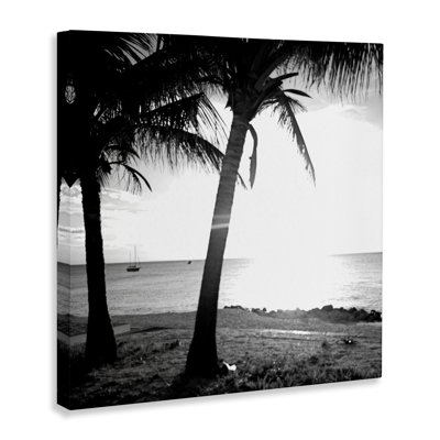 «Palm Tree Silhouettes» par Susan Bryant
