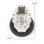 Charleston Knob with Circle Rosette-1648514107