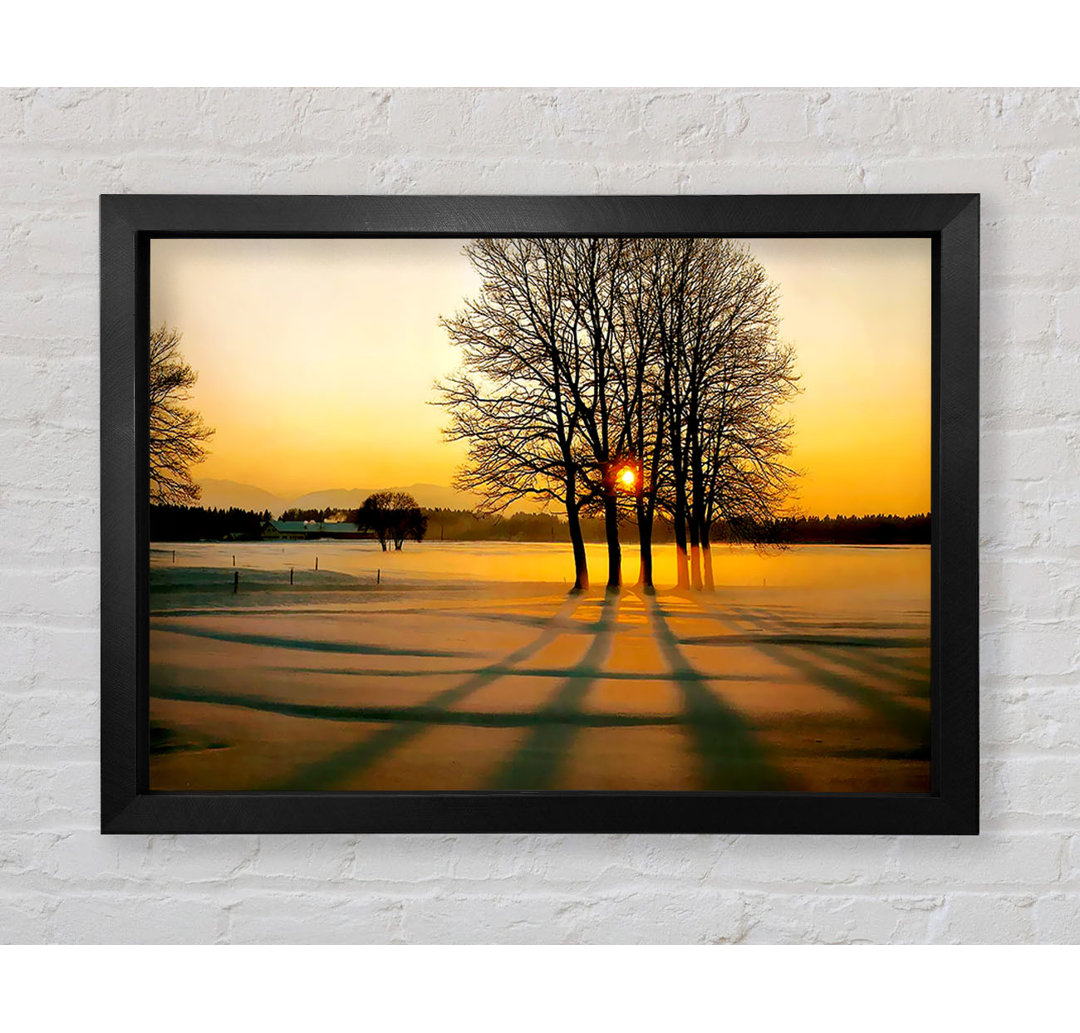 Winterbaum Sonnenaufgang Golden - Einzelner Bilderrahmen Kunstdrucke