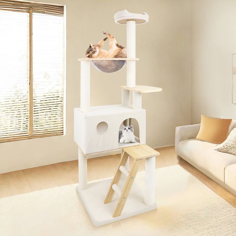 Arbre à chat en bois avec grande échelle en bois et vaisseau transparent 165 cm
