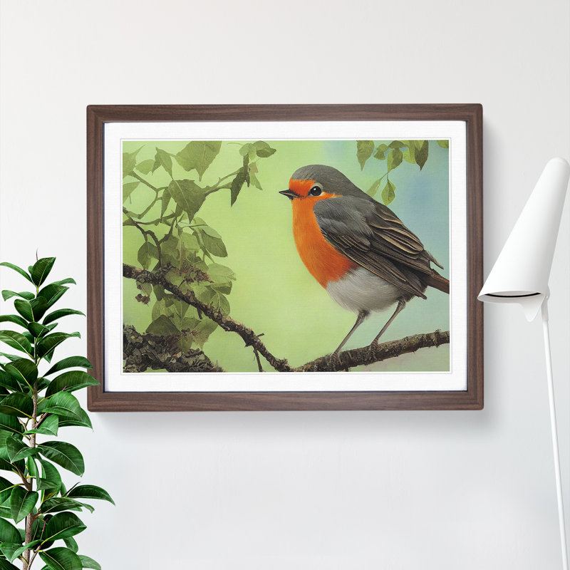 Magnetic Robin Bird - Framed Print, 46cm H x 64cm W x 2cm D, Walnut