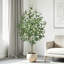 Arbre d'eucalyptus artificiel 5 pi, plante de plancher multi-troncs avec pot en plastique noir, arbre d'eucalyptus réaliste pour la décoration de salon de bureau à domicile, utilisation intérieure seulement-1412647527