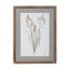 Framed Botanical Print