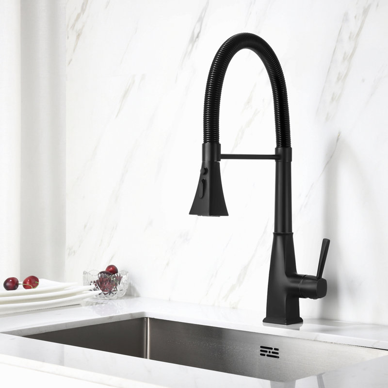 Robinet de cuisine avec douchette extractible