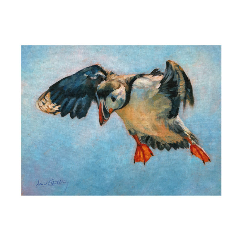 Art sur toile David Puffin, H 14 po x l 19 po