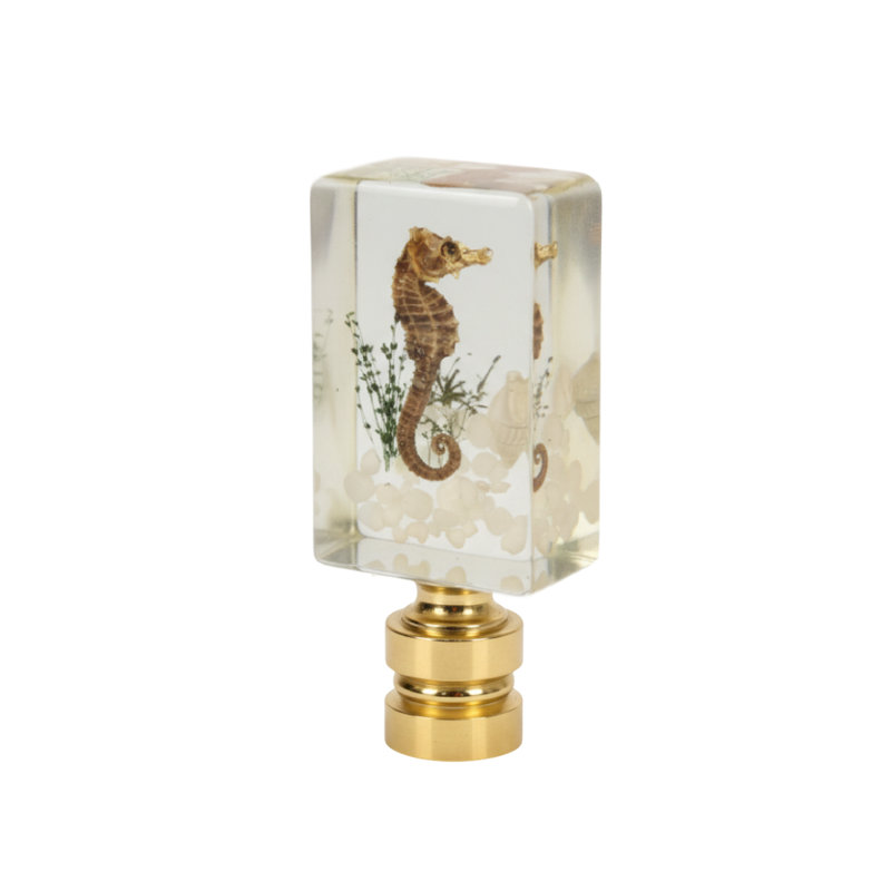 Royal Designs, Inc. F-5119PB-1 Hippocampe en aquarium en résine fait à la main, base en laiton poli, Laiton poli