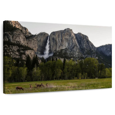 Deer Against Yosemite Falls