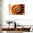Aletra Nautilus Shell Inside-107680922