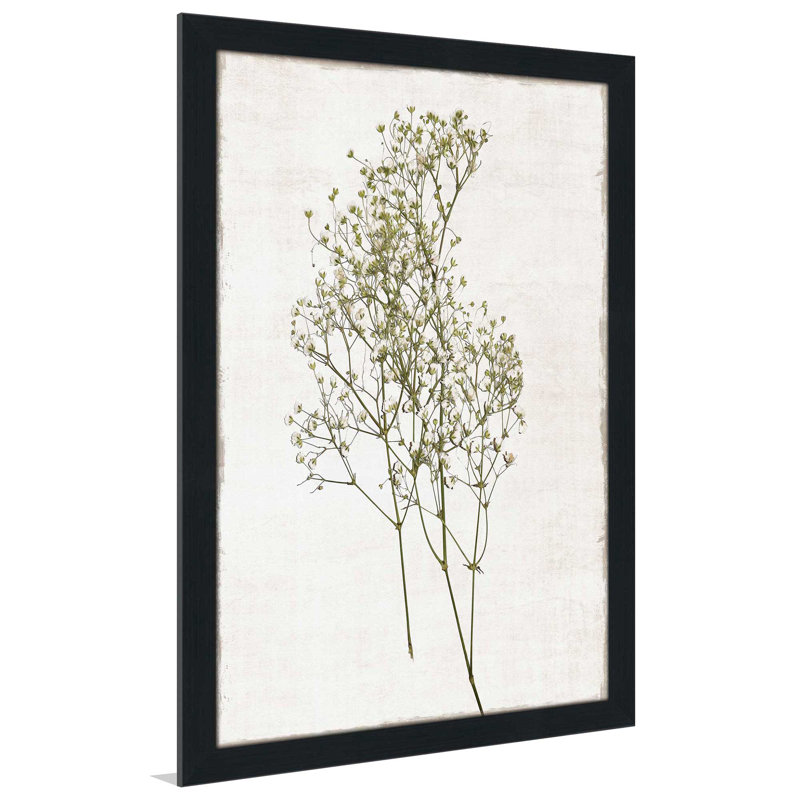 Farmhouse Pressed Flower I - Peinture, L 27,5 po x H 39,5 po, Cadre noir