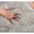 Neev Indoor Rug-977849436