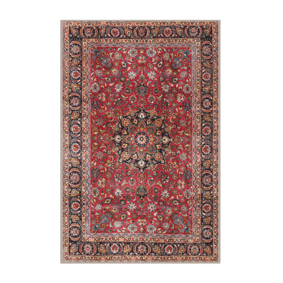 Oriental Indoor Rug