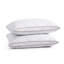Goose Feather & Down Pillow, 2-Pack – Plush Medium Support Pillows for Back & Side Sleepers-173006417-173006423