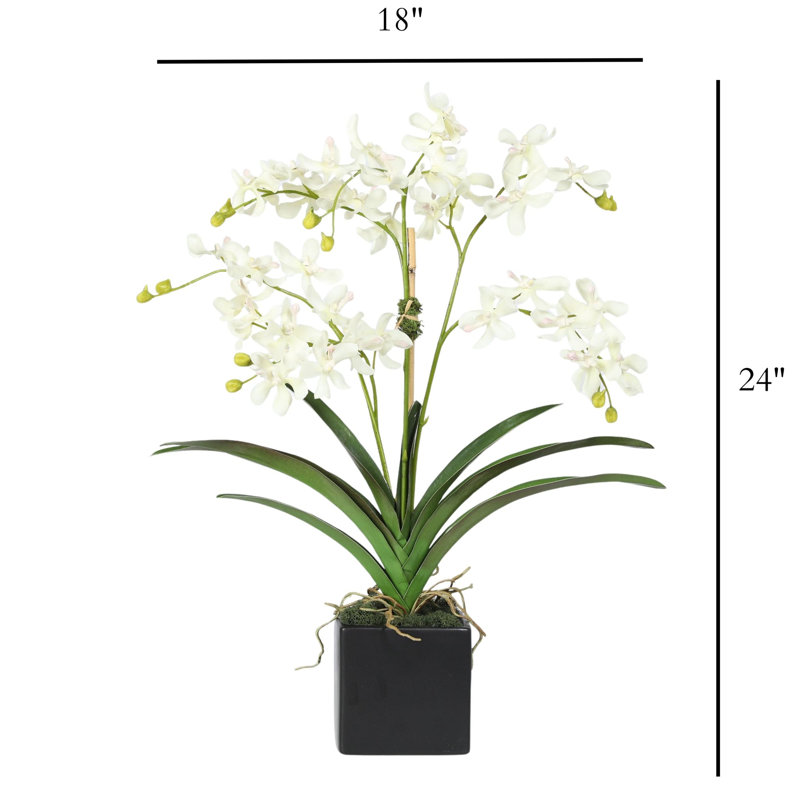 Faux Orchid Plant In White Vase, White, Black
